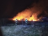 Sezon wypalania traw został rozpoczęty, a wraz z nim w sobotę kilka pożarów w gminie Ludwin. Zobacz