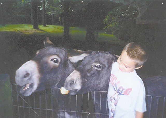 1 lipca 2002Dawidek Raczynski z Opola na wakacje pojechal do cioci do Hamburga, gdzie odwiedzil otwarty ogród zoologiczny. Mimo bariery jezykowej udalo mu sie nawiązac kontakt z dwoma mieszkającymi tam osiolkami. Fotografie nadeslala mama Dawida.