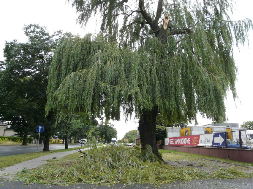 Nawałnica w Pabianicach i całym powiecie. Zerwany dach, drzewo na aucie