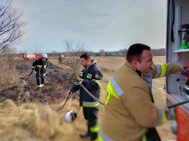 W środę (2 marca) strażacy gasili pożar traw i nieużytk&oacute;w w Jodł&oacute;wce Wałkach pod Tarnowem