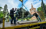 Fontanna Potop nieczynna, niedźwiedzica wróci jesienią 