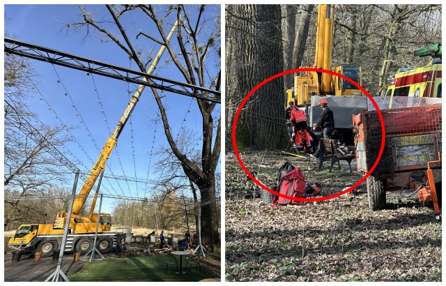 Wypadek podczas wycinki konarów na wyspie Bolko w Opolu.