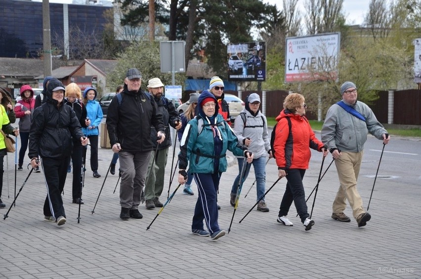 Dołącz do wiosennego marszu nordic walking w Kozienicach
