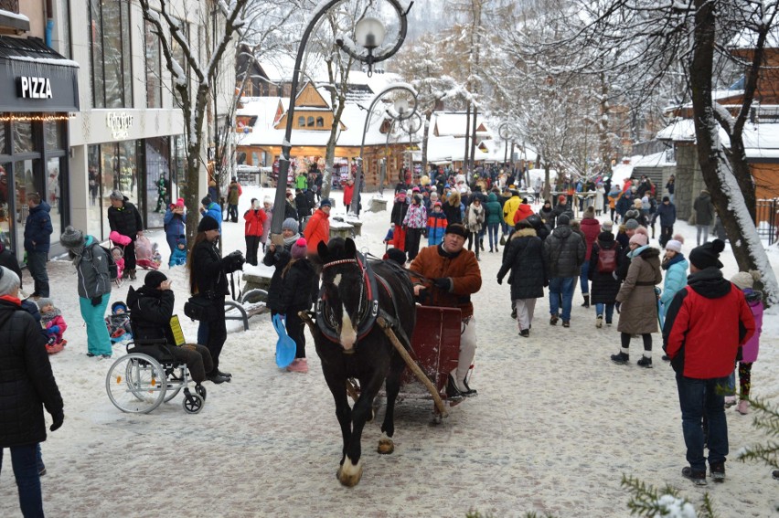 Zakopane zatłoczone. Tysiące turystów. Brakuje wody w kranach [ZDJĘCIA]