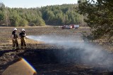 Bolesław. Niedaleko DK 94 regularnie płoną trawy. Strażacy: nie ma wątpliwości, że grasuje podpalacz [ZDJĘCIA]