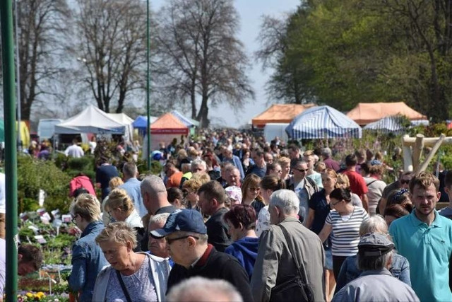 Tłumy na wiosennych targach ogrodniczych (zdjęcia)