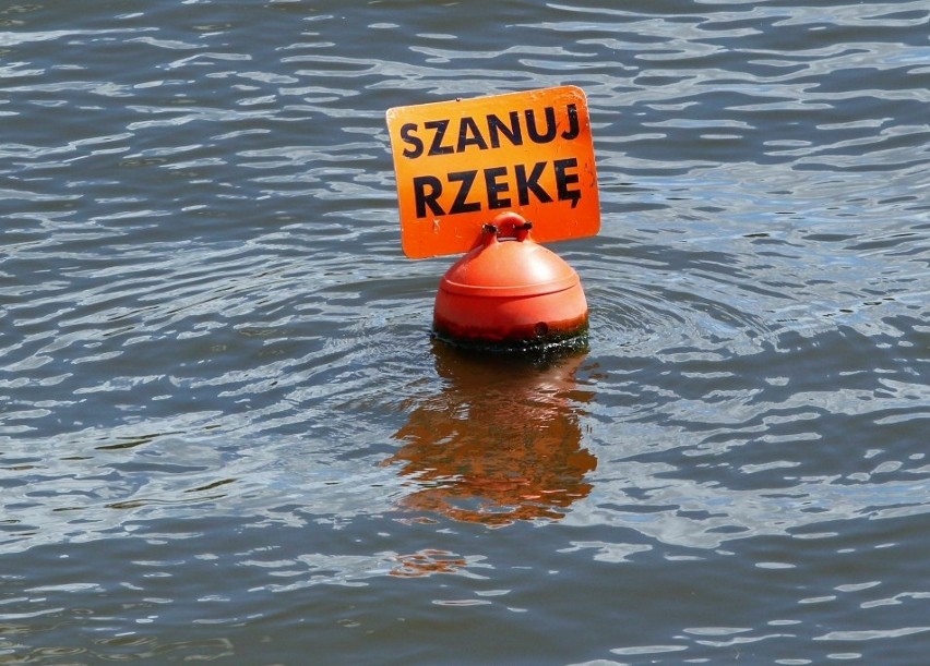 Katastrofa ekologiczna w Odrze i zakazy. A we Wrocławiu chętnych na relaks na wodzie nie brakuje...