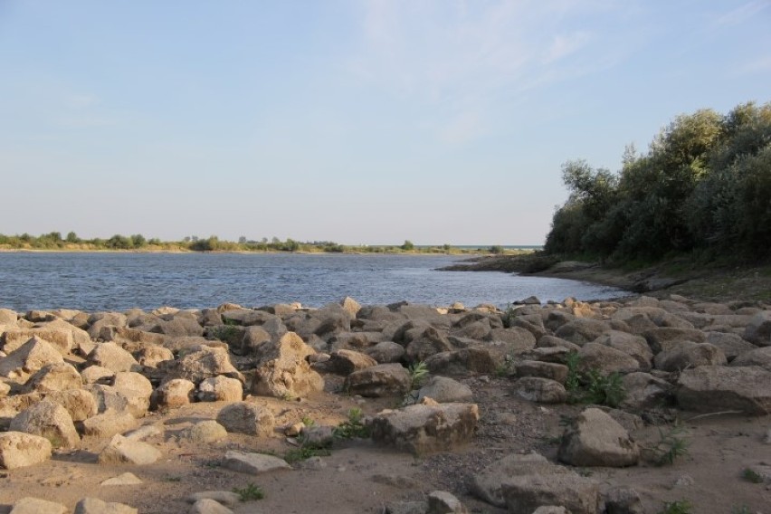 Rekordowo niski stan wody w Wiśle w okolicy Tczewa