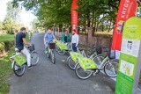 Już od kwietnia kolejny sezon roweru miejskiego w Katowicach. Miasto szuka zarządcy wypożyczalni