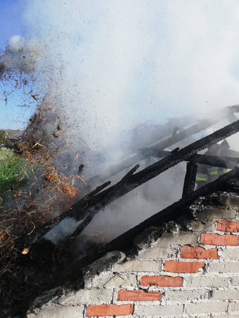 Budynek gospodarczy palił się w Woli Soleckiej Drugiej. Gasiło go pięć zastępów strażaków. Zobacz zdjęcia