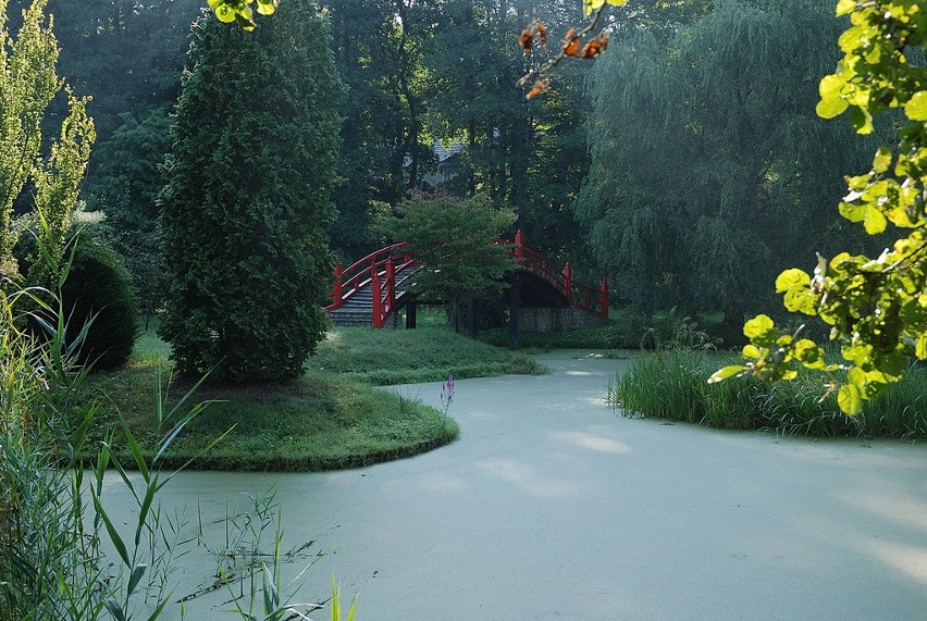 Zdjęcia dworu, parku i arboretum w Lusławicach użyczone...