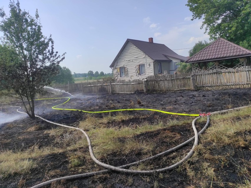 Baciuty - Kolonia. Niebezpieczny pożar traw w pobliżu zabudowań. Kilka zastępów walczyło z żywiołem [ZDJĘCIA]