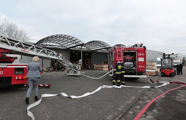 Pożar hurtowni meblowej przy ul. Zimnej wybuchł w czwartek, 23 stycznia. Na miejsce przybyło siedem jednostek straży pożarnej zawodowej oraz OSP. Do pożaru doszło na poddaszu. Na miejscu interweniowało siedem zastępów straży pożarnej. Na szczęście sytuacja została szybko opanowana. – Prawdopodobną przyczyną pożaru był kłopot z instalacją elektryczną. Dokładną przyczynę pożaru wskaże jednak dochodzenie – mówi st. kpt. Arkadiusz Kaniak rzecznik zielonogórskich strażaków. W sprawie zdarzenia wypowie się również biegły z dziedziny pożarnictwa.Zobacz również: Australia w ogniu, w pożarach zginęło miliard zwierząt