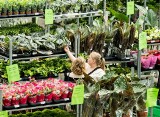 Kwiatowa Gala zawita do Gorzowa. A wraz z nią tysiące roślin do oglądania i kupowania!