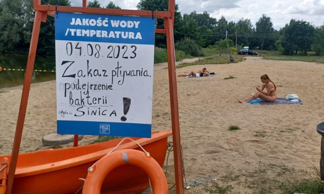 Zakwit sinic na wrocławskim kąpielisku