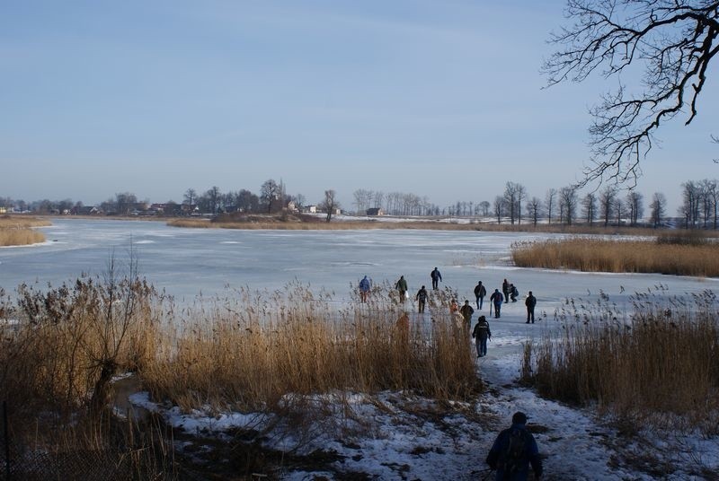 Jeleniec i Storlus