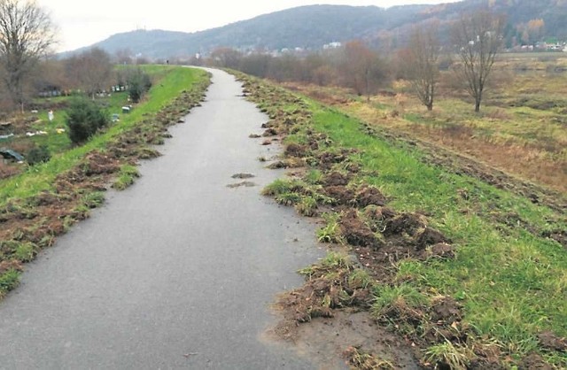 Ścieżka rowerowa w Bodzowie zostanie dziś posprzątana