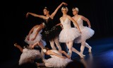 Ponad 200 tancerzy w niesamowitym widowisku na XX międzynarodowym Dniu Tańca w Centrum Młodzieży w Rzeszowie [ZDJĘCIA]