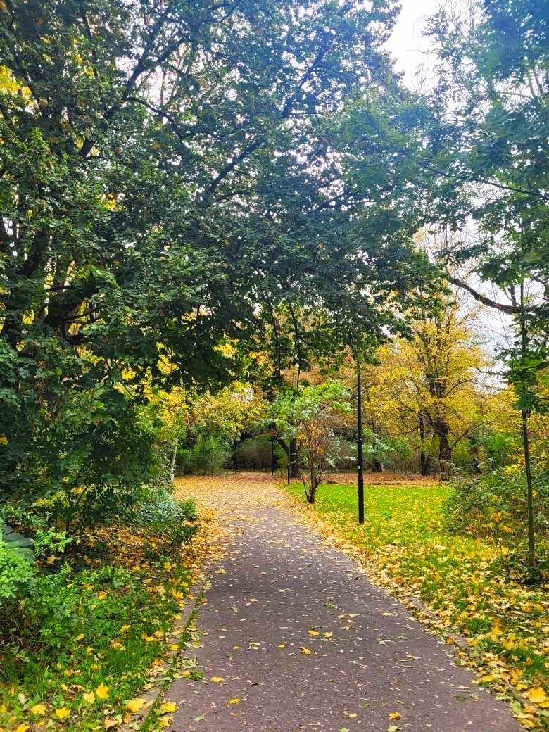 Piękna jesień w dzikim Parku Jalu Kurka w Krakowie