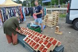 Piątkowy targ w Stalowej Woli. Mnóstwo truskawek i czereśni. Jakie ceny pozostałych owoców i warzyw? Zobacz zdjęcia 