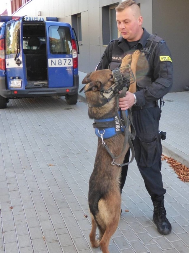 Pies policyjny Iwo