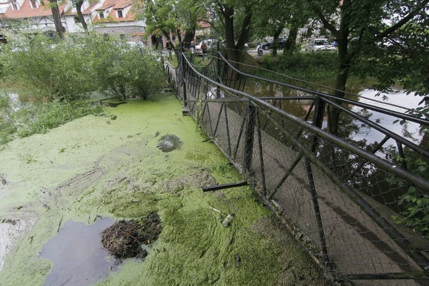 Wrocław: Woda zalewa Karczmę Rzym. Miasto nie pomaga (ZDJĘCIA)