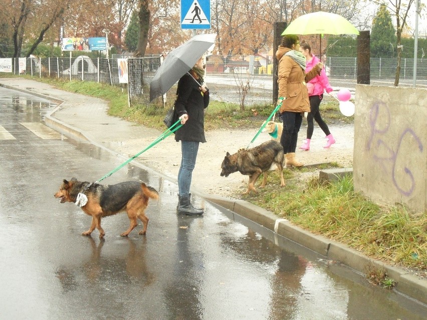 Parada kundelków Mysłowice