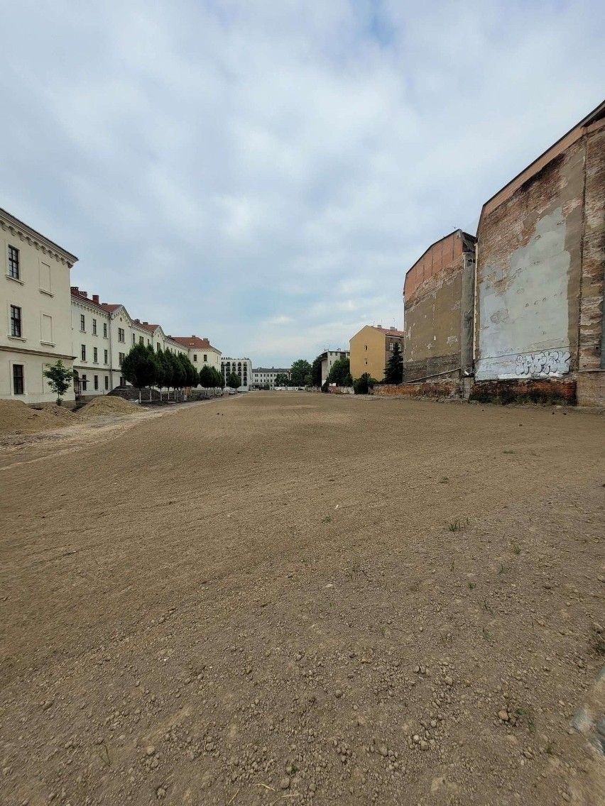 Kraków. Przy ulicy Karmelickiej był beton, zaorali i mamy... trawę!