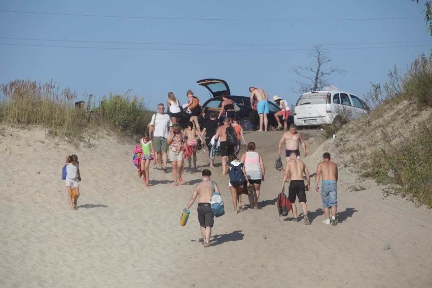 Beach Party nad Pogorią IV: Wielka impreza na plaży