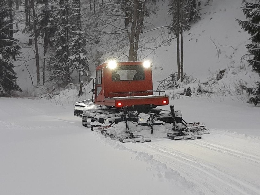 Masyw Śnieżnika - zakładanie śladu na trasach biegowych