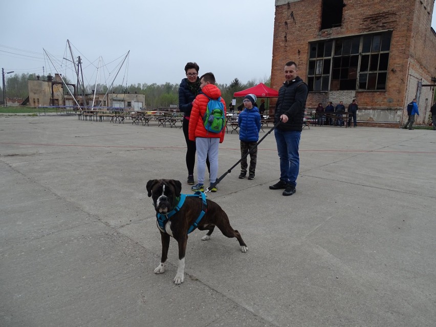 I Dogtrekking w Polanowie, który był połączony z majówką,...