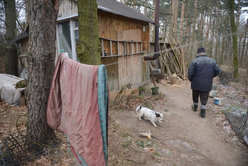 Światowy Dzień Sprawiedliwości Społecznej: 2,5 mln Polaków żyje w skrajnym ubóstwie