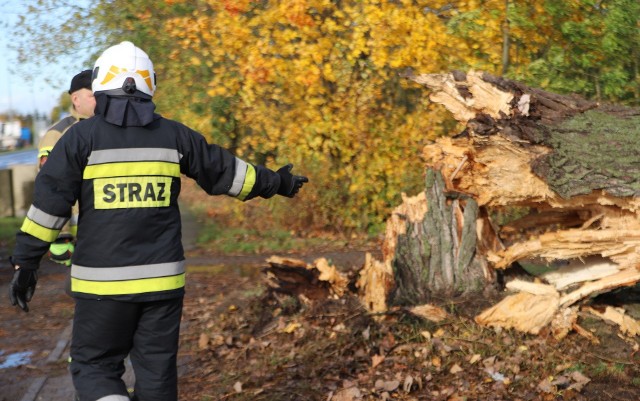 W ciągu doby strażacy wyjechali do 960 interwencji