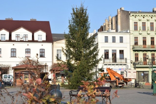 Na Rynku w Inowrocławiu zamontowano już choinkę. Od połowy grudnia będzie można tu sobie zrobić zdjęcia z reniferem i piramidą wielkich bombek