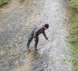 Wędkarze i przyrodnicy będą budować tarliska dla ryb na Mierzawie. Potrzebna pomoc