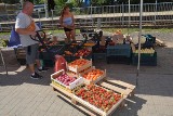 Piątkowy targ w Stalowej Woli, królują śliwki, jabłka i brzoskwinie. Jakie ceny owoców i warzyw. Zobacz zdjęcia