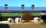 Energia z dachu obory może obniżyć koszty produkcji. Biogaz także 