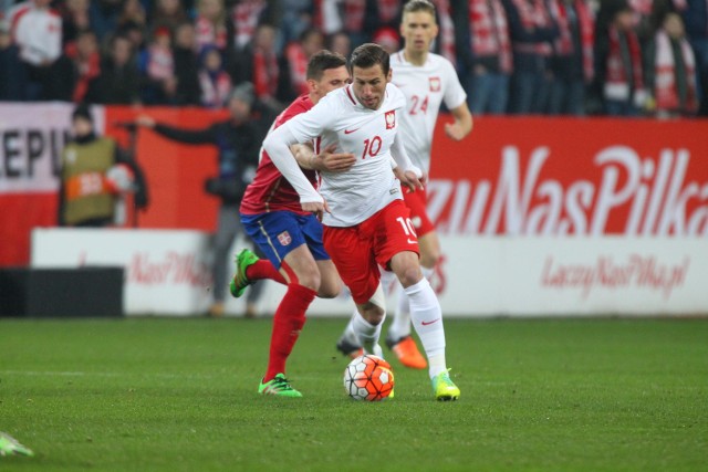 Mecz Polska - Serbia w Poznaniu [ZDJĘCIA, WYNIK, RELACJA NA ŻYWO]