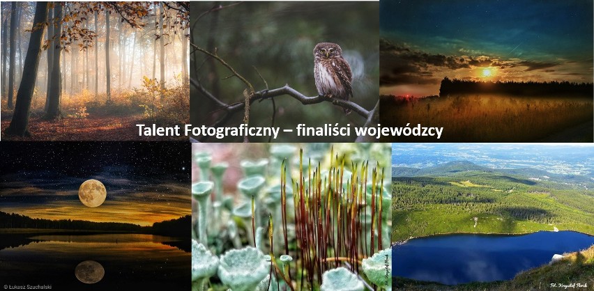 Talent Fotograficzny - zobacz zdjęcia finalistów wojewódzkich