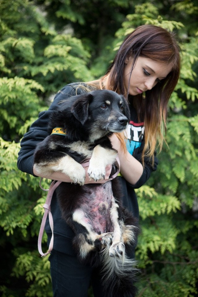 Wolontariuszka z sparaliżowanym psem Miśkiem.