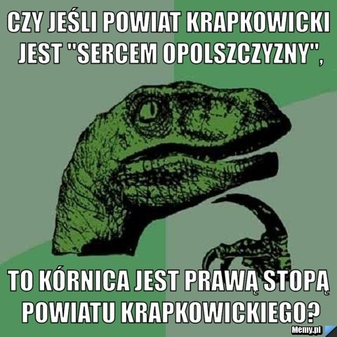 Oto najśmieszniejsze memy o Opolu.