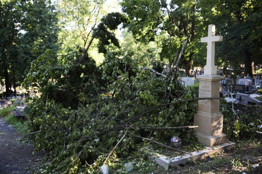 Skutki sobotniej nawałnicy na krakowskich cmentarzach. Służby usuwają powalone drzewa