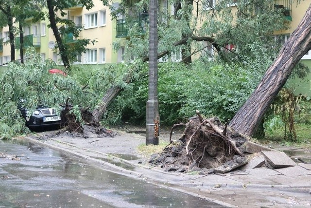 W sierpniu 2017 r. w całęj Łodzi zostało połamanych setki drzew.