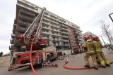 Pożar w Porcie Popowice we Wrocławiu, siedem zastępów straży w akcji. Przyczyną mógł być niedopałek papierosa [ZDJĘCIA]