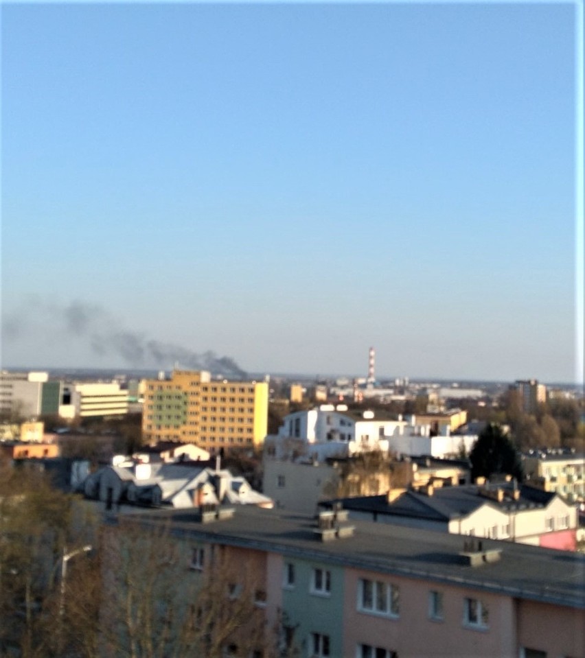 Pożar w składzie palet przy Abramowickiej w Lublinie. Z ogniem walczyło osiem zastępów straży pożarnej. Zobacz