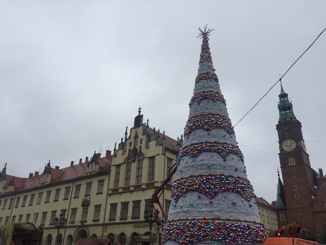 Tak w tym roku wygląda choinka na wrocławskim Rynku