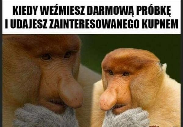 Janusz nosacz memy. Żartobliwie o przywarach Polaków. Zobacz!