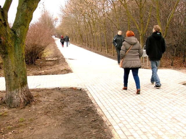 Nową jakość widać na nowo wybudowanym odcinku wzdłuż Szosy Lubickiej