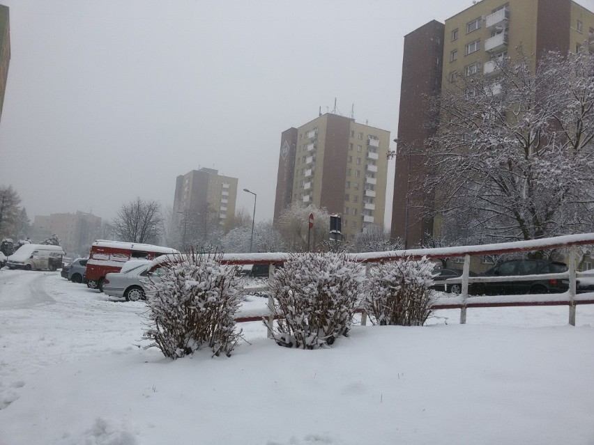 Trudne warunki panują na drogach w Wodzisławiu Śląskim