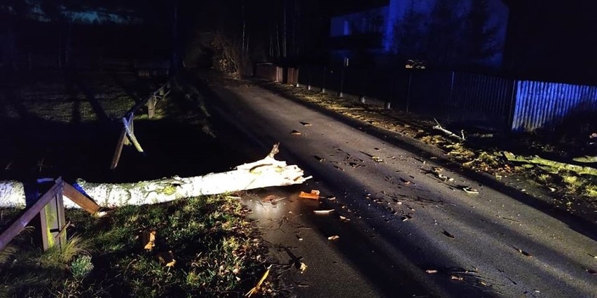 Powalone drzewo na drodze w Zwleczy w gminie Secemin. Strażacy w akcji (ZDJĘCIA)